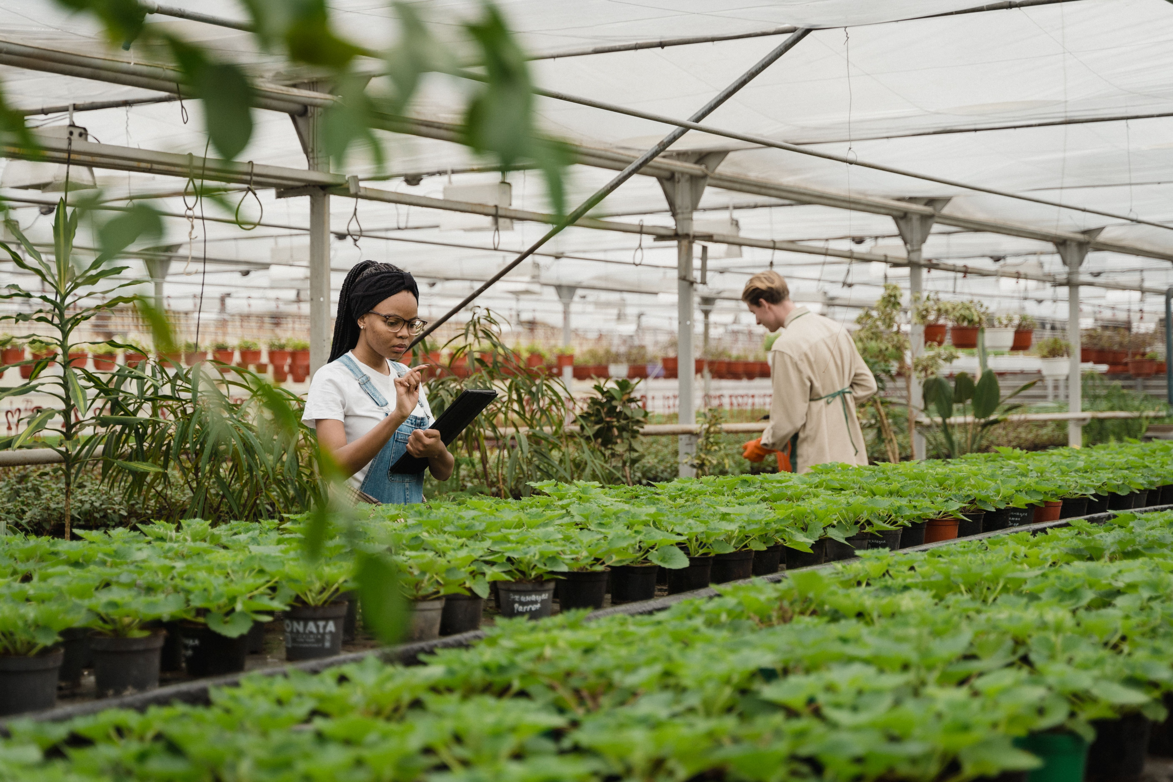 smart farm